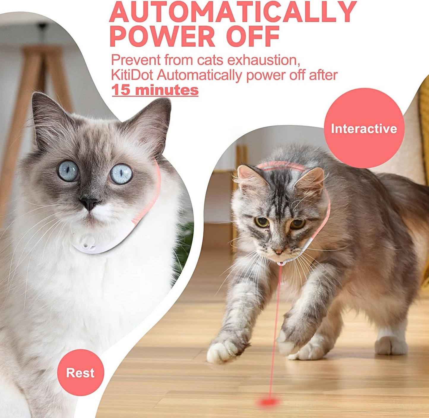 Tragbares automatisches Katzenspielzeug mit LED-Leuchten Elektrisches intelligentes amüsantes Halsband für Kätzchen Interaktives Katzenspielzeug für Indoor-Katzen Haustier-Übungsspielzeug USB Wiederaufladbare USB Wiederaufladbare Auto Ein Aus