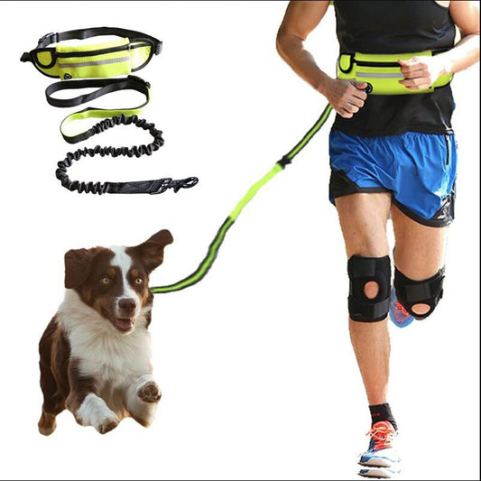 Freihändige Hundeleine Haustier-Spazier- und Trainingsgürtel mit stoßdämpfender Bungee-Leine für bis zu 81,65 kg Pfund große Hunde Handytasche und Wasserflaschenhalter