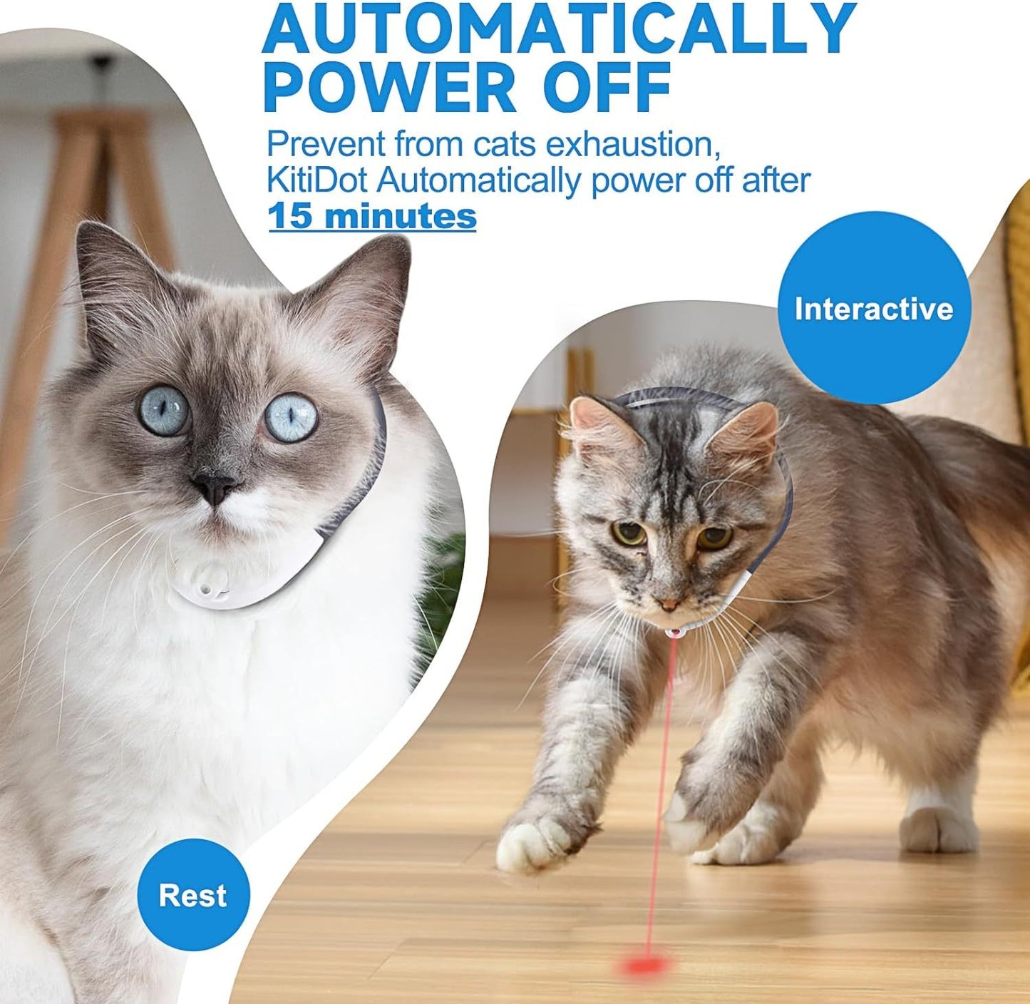 Tragbares automatisches Katzenspielzeug mit LED-Leuchten Elektrisches intelligentes amüsantes Halsband für Kätzchen Interaktives Katzenspielzeug für Indoor-Katzen Haustier-Übungsspielzeug USB Wiederaufladbare USB Wiederaufladbare Auto Ein Aus