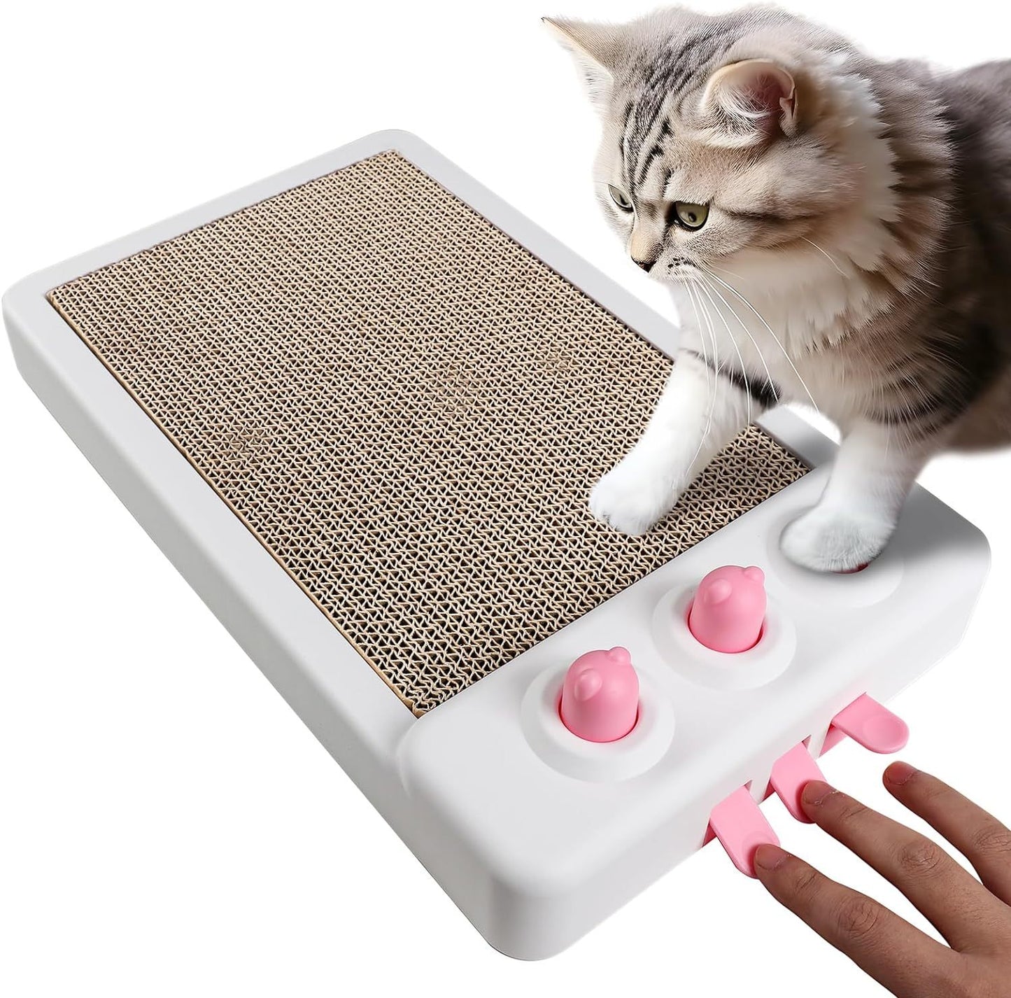 Katze Kratzer Spielzeug Interaktive Katze Spielzeug Karton Katze Kratzer Katze Kratzbrett Katze Kratzpad Für Indoor Katzen Katze Anreicherung Spielzeug