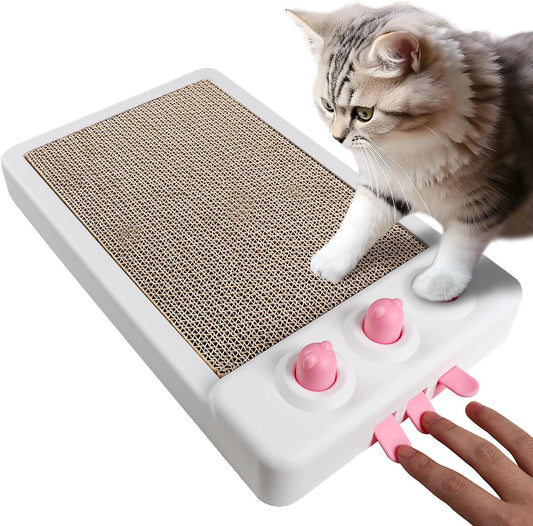 Katze Kratzer Spielzeug Interaktive Katze Spielzeug Karton Katze Kratzer Katze Kratzbrett Katze Kratzpad Für Indoor Katzen Katze Anreicherung Spielzeug